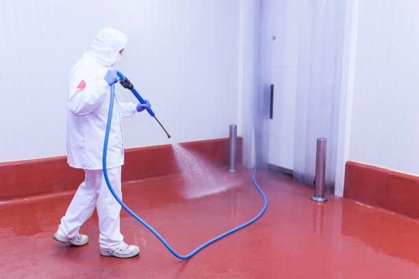 Best Post-Construction Pressure Washing  in Jacobus, PA